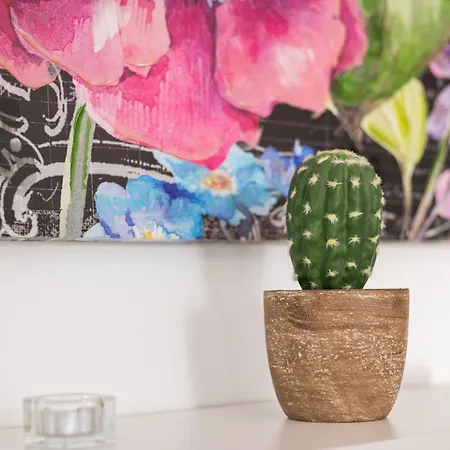 Coquetas Optical Fiber Villa Caleta de Fuste